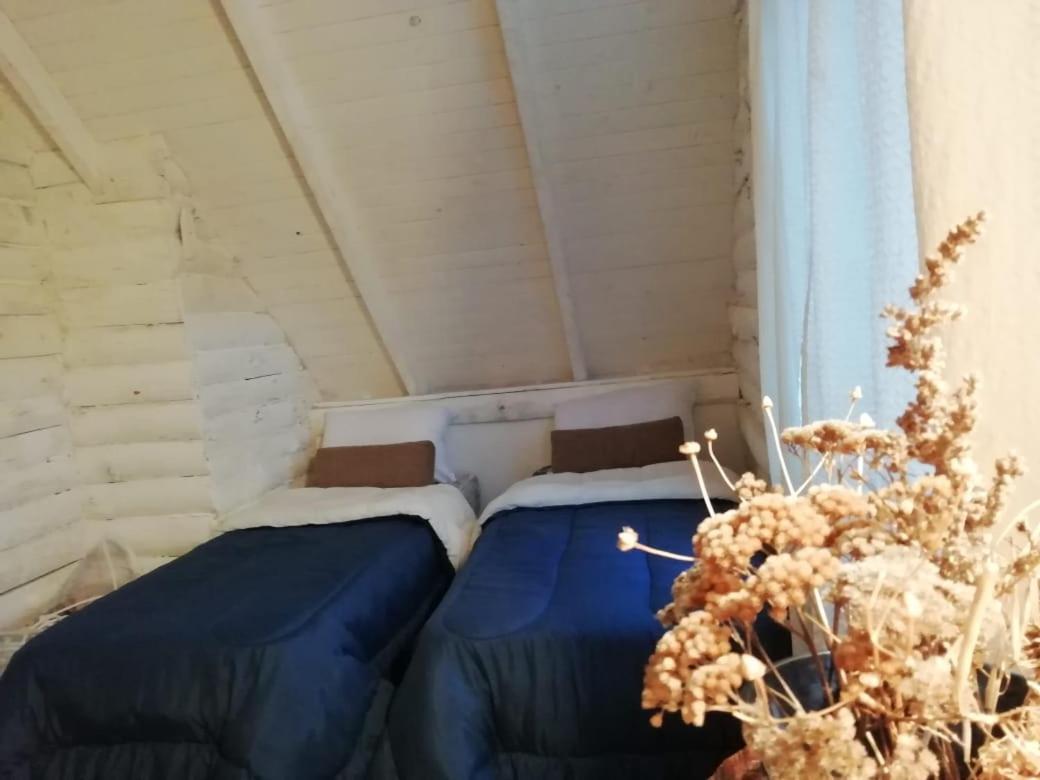 Cabana Azul Trevelín Dış mekan fotoğraf